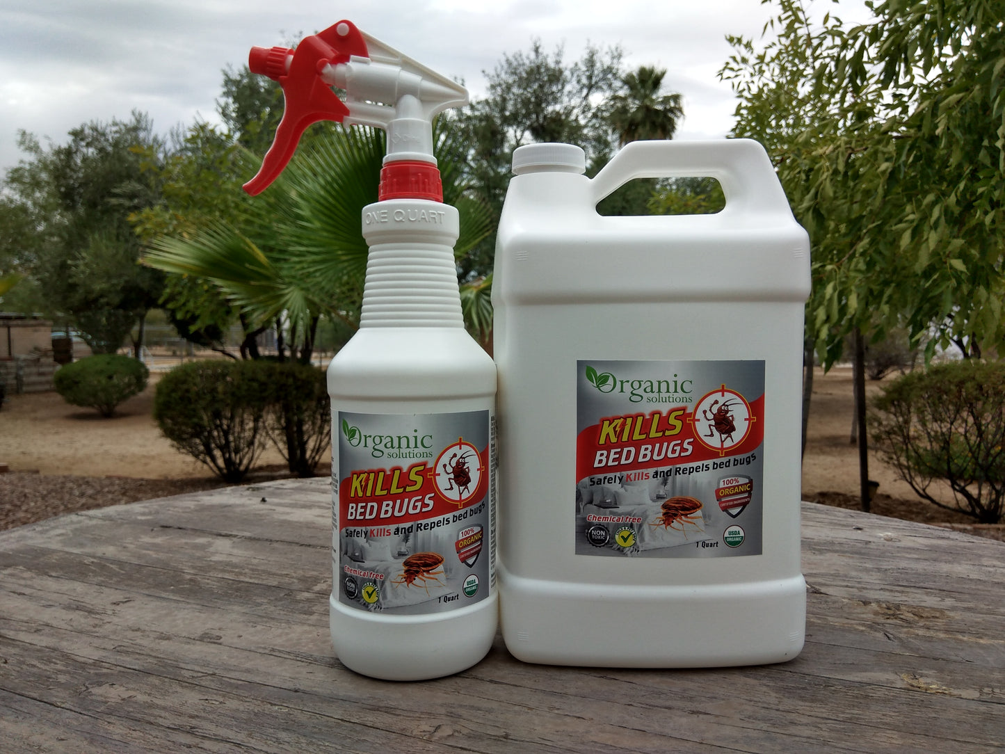 ORGANIC BED BUG KILLER